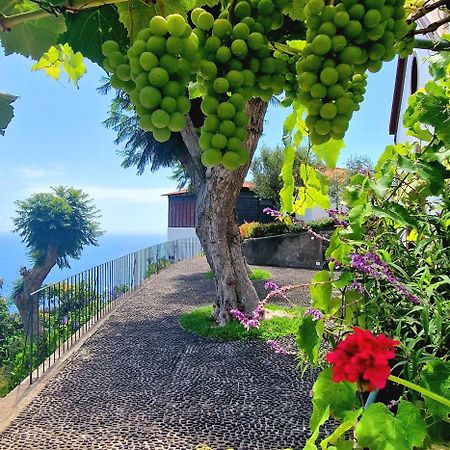 Torre Bella Gardens Arco da Calheta (Madeira) Exterior foto