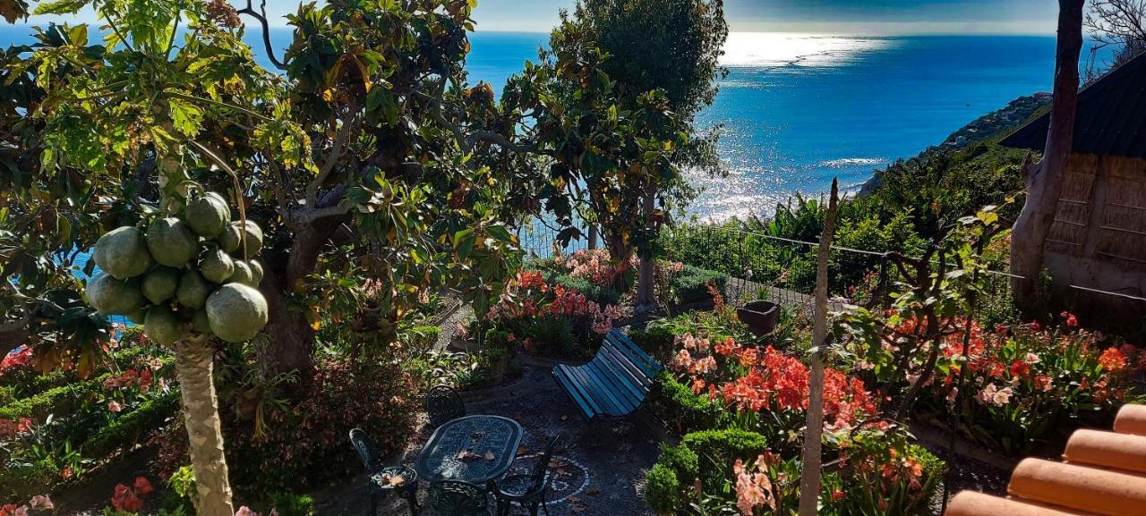 Torre Bella Gardens Arco da Calheta (Madeira) Exterior foto