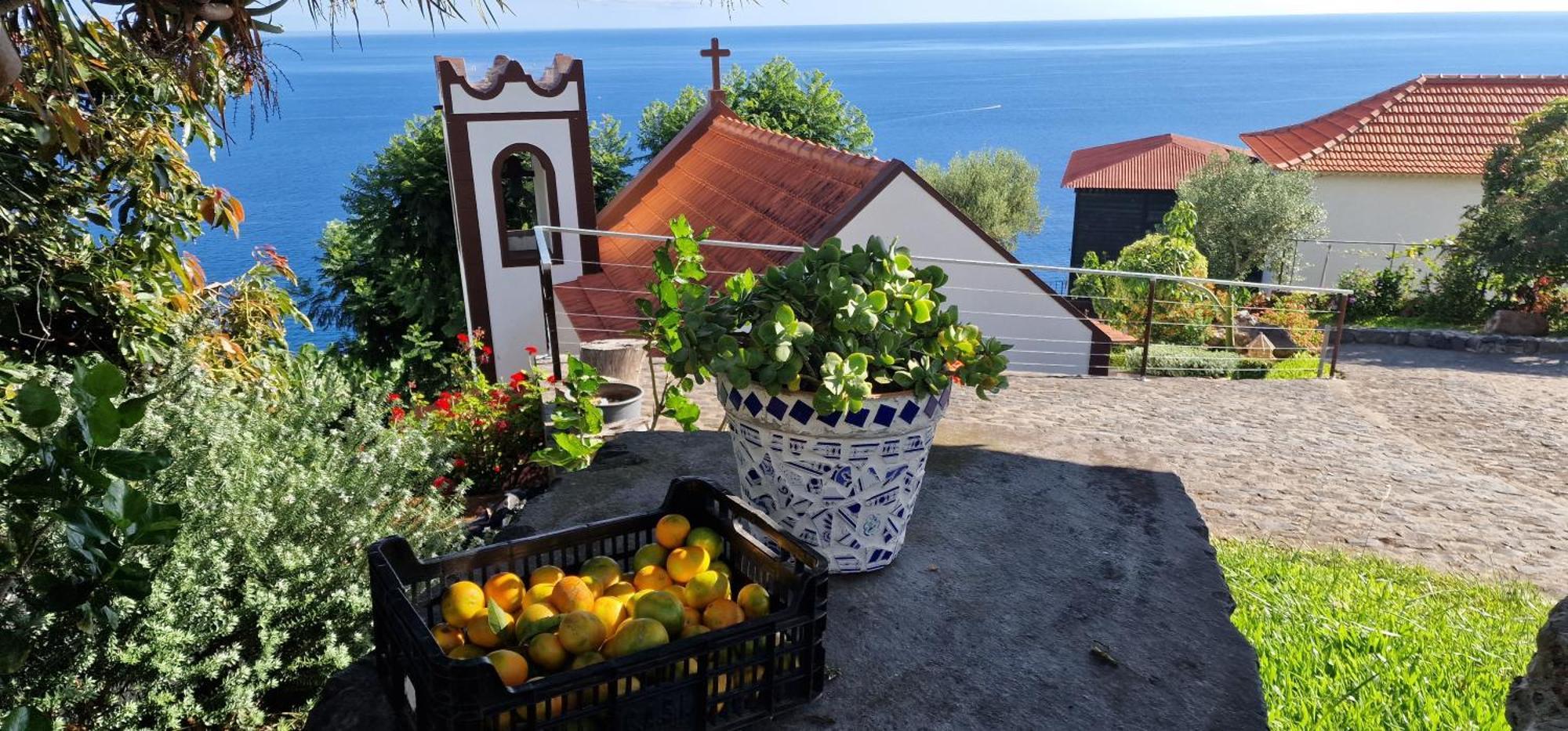 Torre Bella Gardens Arco da Calheta (Madeira) Exterior foto